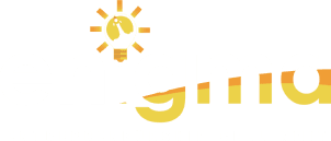 E-Cell Enigma